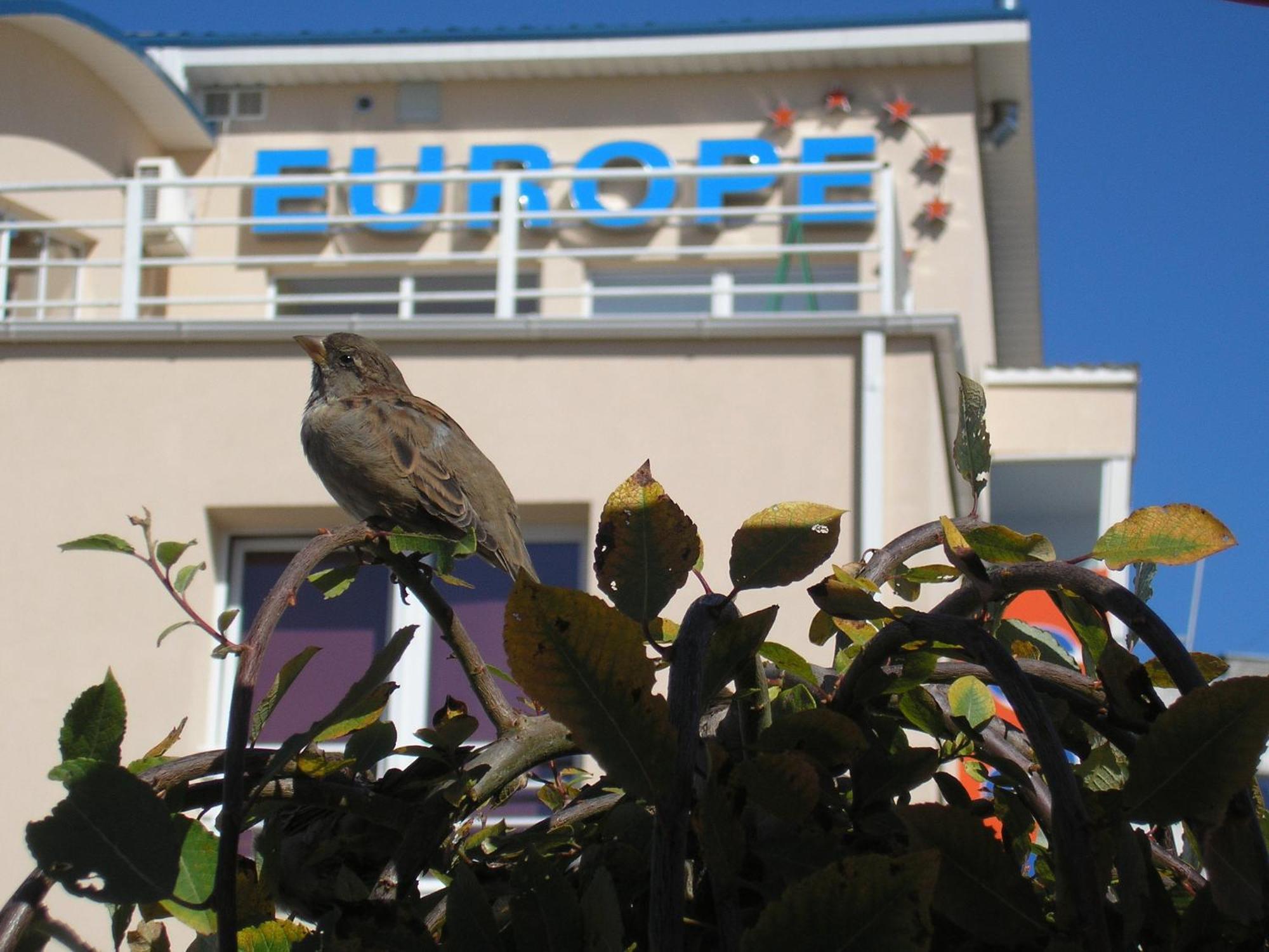 Europe Guesthouse Narva Esterno foto